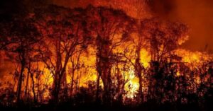 Incêndios atingem 70% da Terra Indígena Arariboia no MA
