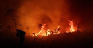 73% das queimadas no Amazonas ocorrem em áreas federais