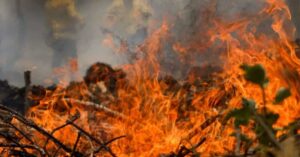 Queimadas afetam mais de 15 milhões de brasileiros em 2024