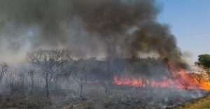 Maranhão é o 5º com maior índice de queimadas por área