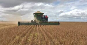 Dois municípios do MA estão entre os mais ricos do agro