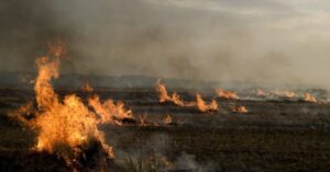 Maranhão lidera ocorrências de queimadas no Brasil