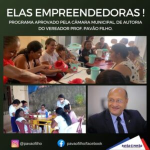 Câmara aprova projeto de lei do vereador prof. Pavão Filho que cria o programa Elas Empreendedoras