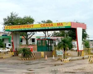 Polícia Civil do Maranhão desmantela esquema de tráfico de drogas que funcionava no Ceasa, em São Luís