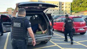 Polícia Civil do Maranhão prende nove pessoas por roubo de carga e combustíveis durante segunda fase da Operação Tanque Cheio