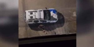 Suspeito tenta fugir da polícia pulando de prédio e sofre queda violenta; VEJA VÍDEO