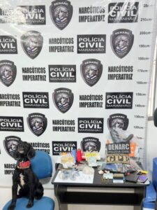 Polícia Civil do Maranhão prende cinco suspeitos em operação contra o tráfico de drogas em Imperatriz
