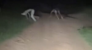 Duas figuras parecidas com lobisomens são vistas no Quebra Pote, Zona Rural de São Luís