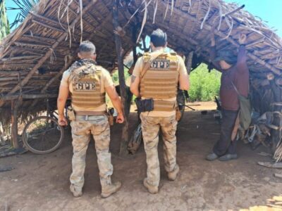 Operação Protetor dos Biomas: Polícia Civil Intensifica Investigações e faz operação contra crimes ambientais