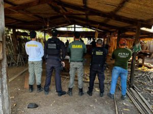 PF realiza Operação Arariboia Livre VII em combate a crimes ambientais