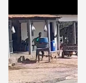 O “Anjo da Caridade” de Santa Inês: Bringel Distribui Carne e Compra Votos em Poção da Juçara