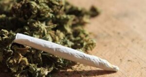 Peitando!!! Santa Catarina vai na contramão do STF e multará quem tiver com maconha