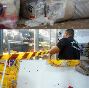 Procon interdita frigorífico de supermercado Pinheiro após rato ser encontrado em freezer