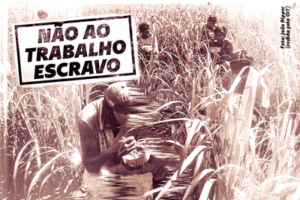 TRF1 atende MPF e condena fazendeiro por manter 7 trabalhadores em condições análogas à escravidão no Maranhão