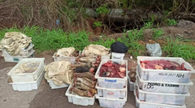Carga de carne imprópria que seria vendida em feira de São Luís é apreendida na BR-135