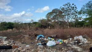 SEM ATENÇÃO DO PODER PÚBLICO!!! PRESERVAÇÃO DE ÁREA VERDE NO BAIRRO DO RECANTO DOS VINHAIS, SÃO LUÍS, MARANHÃO