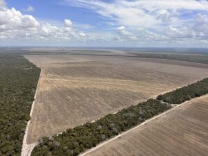 Suspensão de licenças ambientais não encerra danos a comunidades, que afetam até IDH