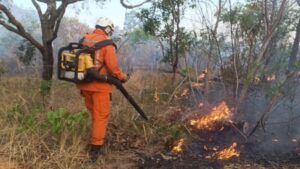 Operação Maranhão Sem Queimadas intensifica ações no sul do estado para combater incêndios em vegetação