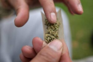 Defensoria do Maranhão quer suspensão de processos por porte de maconha