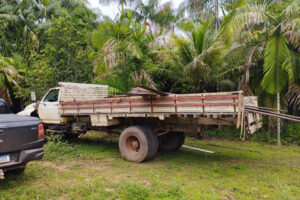 PF combate extração ilegal de madeiras em terras indígenas no MA