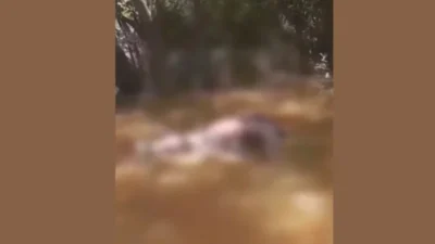 Corpo de mulher é encontrado boiando em rio de Pedreiras