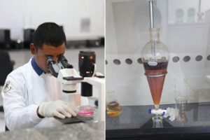 Pesquisa estuda uso da farinha de babaçu na produção de protetor solar