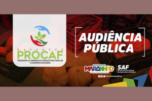 SAF realiza audiência pública para apresentação do edital do Procaf
