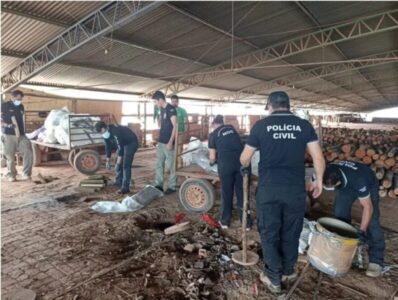 Polícia Civil incinera 1,5 toneladas de drogas apreendidas em 2023