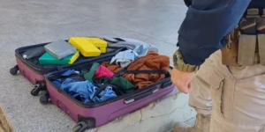 PRF-MA prende passageira com 12kg de cocaína em ônibus na BR-316, em Caxias