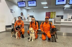 Maranhão envia cães de resgate para missão no Rio Grande do Sul