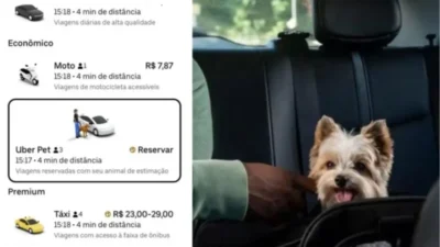 Uber Pet chega a São Luís para facilitar o transporte de animais de estimação