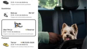 Uber Pet chega em São Luís