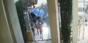 “religioso”!!! Ladrão faz sinal da cruz antes de furtar igreja… Assistam ao vídeo!!!