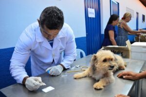 Conheça os serviços da vigilância Sanitária de Imperatriz