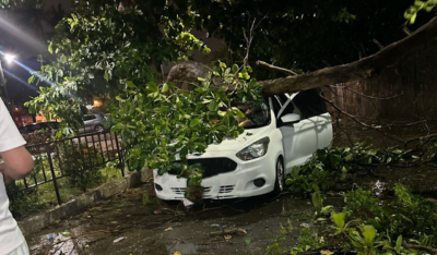 Noite de caos em São Luís: Ventania derruba árvores, muro de cemitério, torre de rádio e deixa vários bairros sem energia