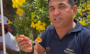 Wellington é o sétimo candidato que mais doou para a própria campanha no país