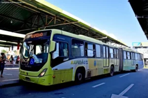 Transporte semiurbano gratuito neste domingo (6); Governo do MA facilita acesso ao voto na Grande Ilha e Imperatriz