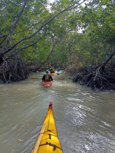 Ong Arte Mojó e Ecotrip Canoagem se unem para limpar trecho do Rio Paciência
