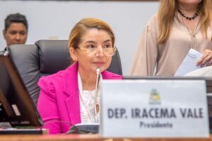 Artigo: O cometa Iracema Vale