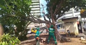 Braide tem até hoje para explicar ‘invasão’ no Armazém Paraíba