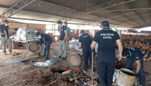 Polícia Civil incinera 1,5 tonelada de droga apreendida em 2023