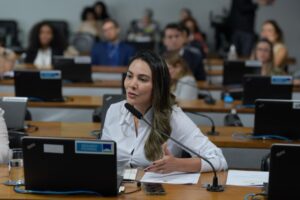 Ana Paula quer que condenados por violência doméstica não tenham direito à divisão de bens e pensão