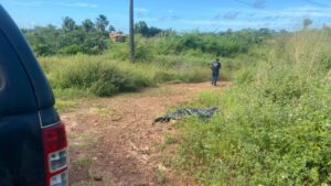 Homem é encontrado decapitado e tem coração levado por bandidos em São Luís