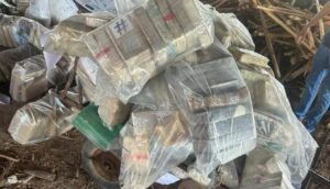 Mais de meia tonelada de drogas são incineradas pela Polícia Civil em Imperatriz