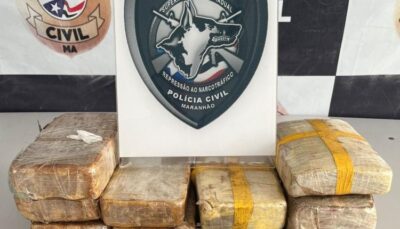 Polícia Civil apreende 10 barras de crack e prende suspeito em São José de Ribamar