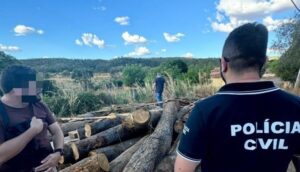 PCMA realiza fiscalização em combate a crimes ambientais no interior do estado