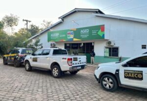 Gaeco deflagra operação Rei do Gado no MA para combater fraudes e sonegação de R$ 1,4 bilhão