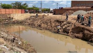 Empresas devem implementar medidas de compensação ambiental após TAC, em Itapecuru-Mirim