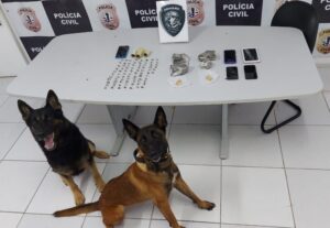PC deflagra operação contra o tráfico de drogas e prende 7 pessoas em São Luís e Região Metropolitana
