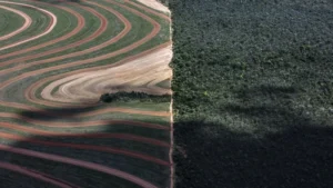 ‘Guerra química’ intoxica comunidades no Maranhão